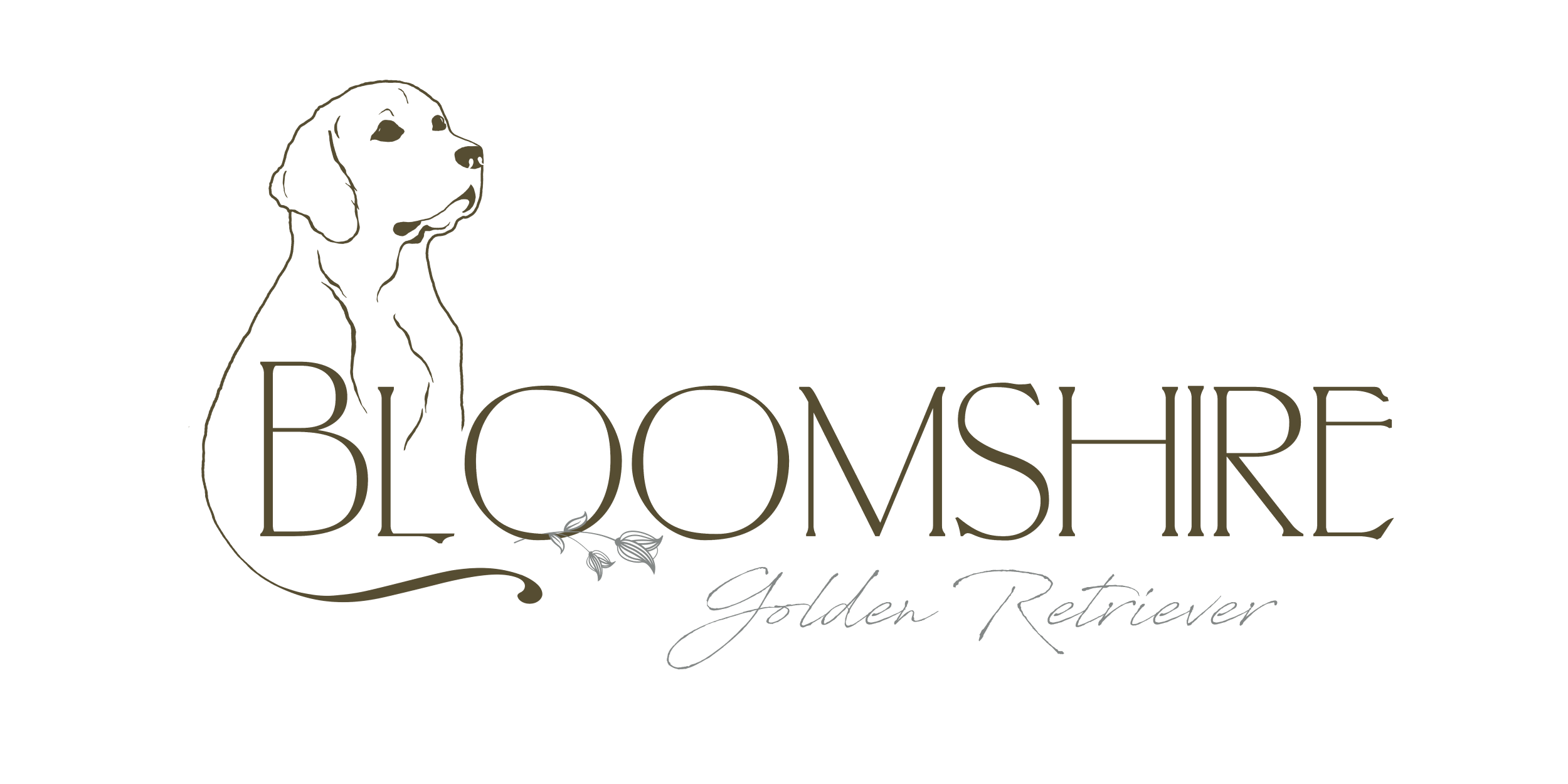 Bloomshire Golden Retriever